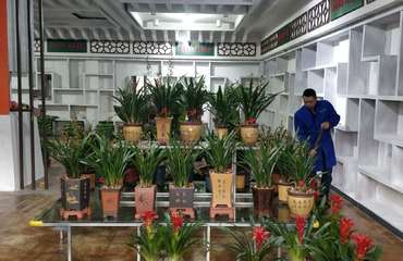 富優(yōu)美專(zhuān)業(yè)園林綠化 花卉綠植租賃、批發(fā)零售與南昌盆栽養(yǎng)護(hù)管理工程